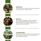 Green Coffee Extract Capsules for Weight Management